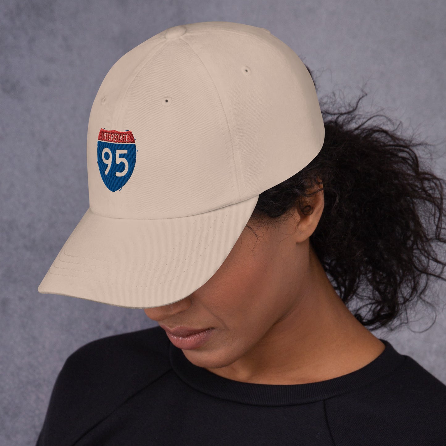 Hat Interstate 95